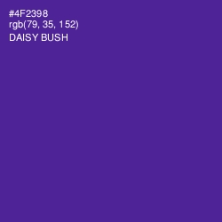 #4F2398 - Daisy Bush Color Image